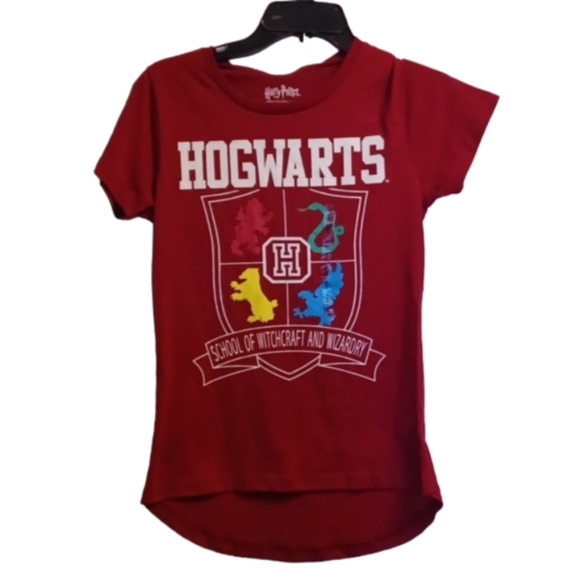 HARRY POTTER, NWT, SIZE SMALL T-SHIRT. MAROON. - Picture 1 of 6
